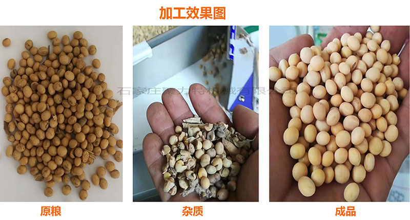 1590028463259934.jpg 黃豆加工效果圖.jpg